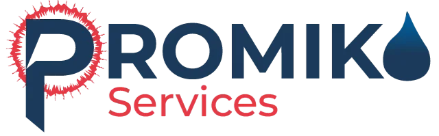 Logo Promiko Services